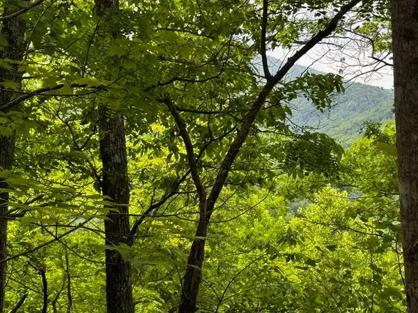 #6 Pounding Mill Overlook, Hayesville, NC 28904