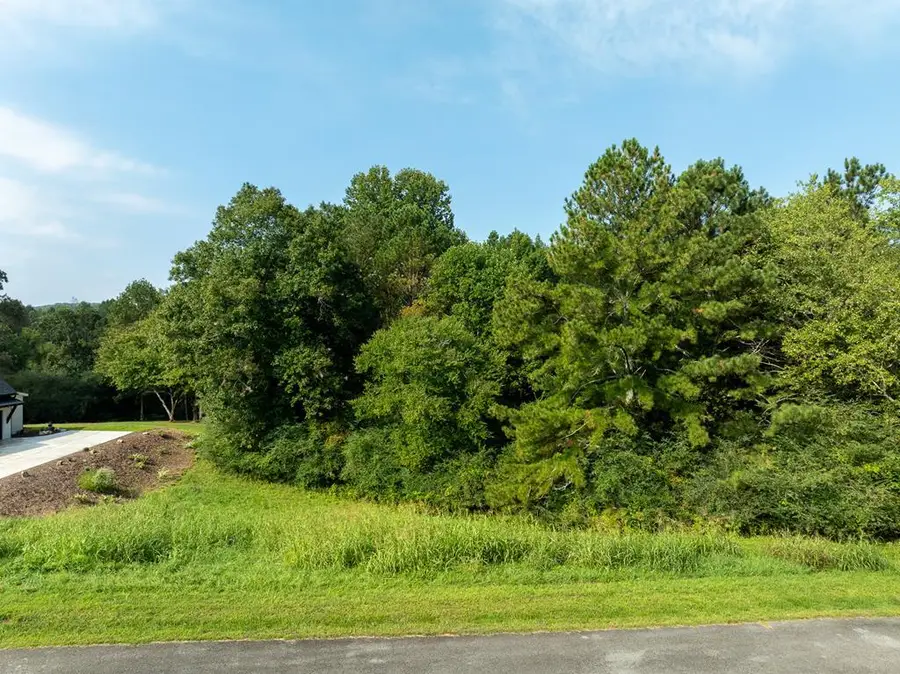 Lot 3 Highpoint Ridge Road, Ellijay, GA 30536 - #2