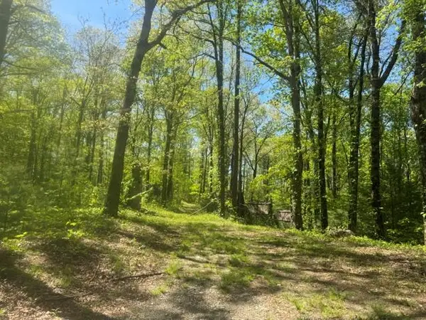 557 Shelton Road, Suches, GA 30572