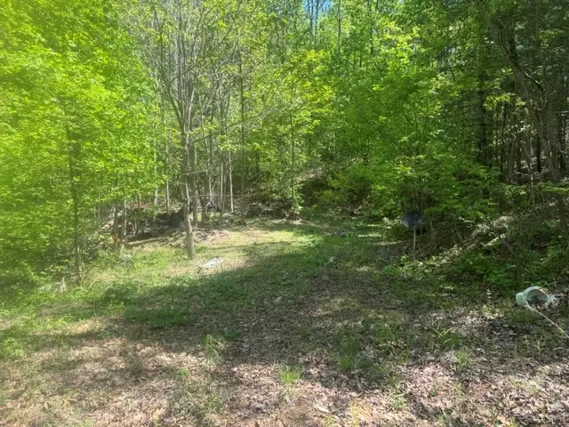 557 Shelton Road, Suches, GA 30572 - #3