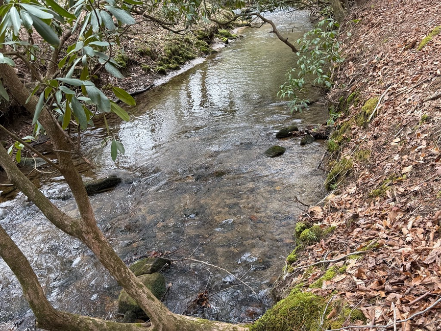235 Hardslate Road, Blue Ridge, GA 30513 - #2