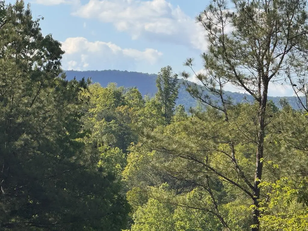 Lot 2 Grassy Creek Road, Copperhill, TN 37317 - #1