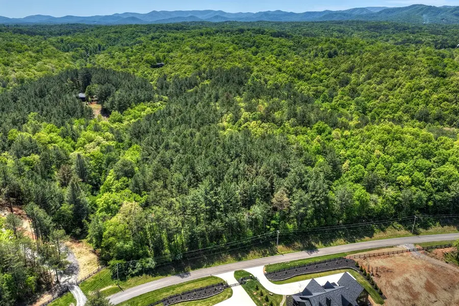 Lot 2 Grassy Creek Road, Copperhill, TN 37317 - #2