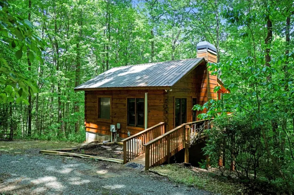163 Little Rock Creek Trail, Cherry Log, GA 30522 - #1