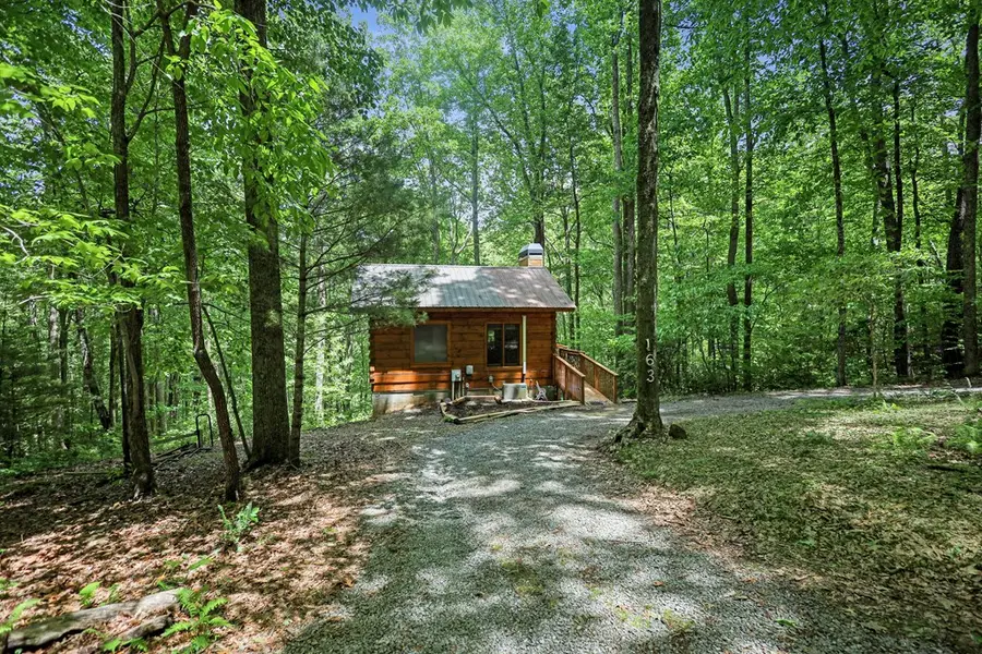 163 Little Rock Creek Trail, Cherry Log, GA 30522 - #2