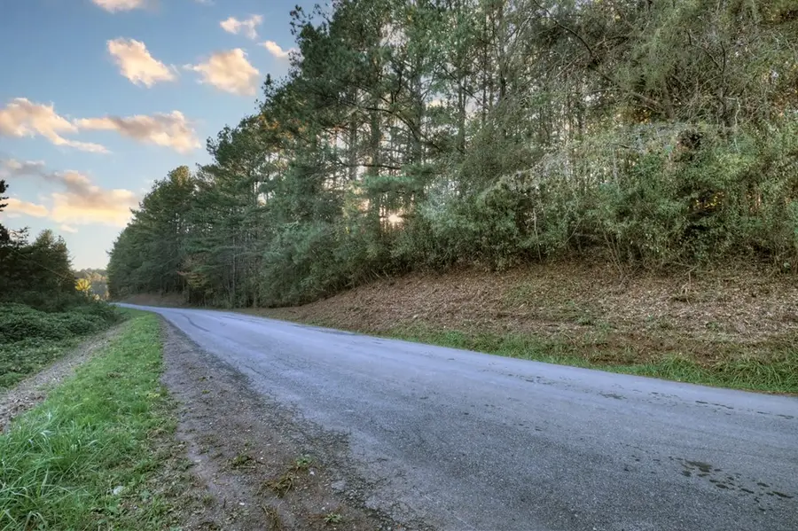 0 Stansbury Mountain Road, Copperhill, TN 37317 - #3