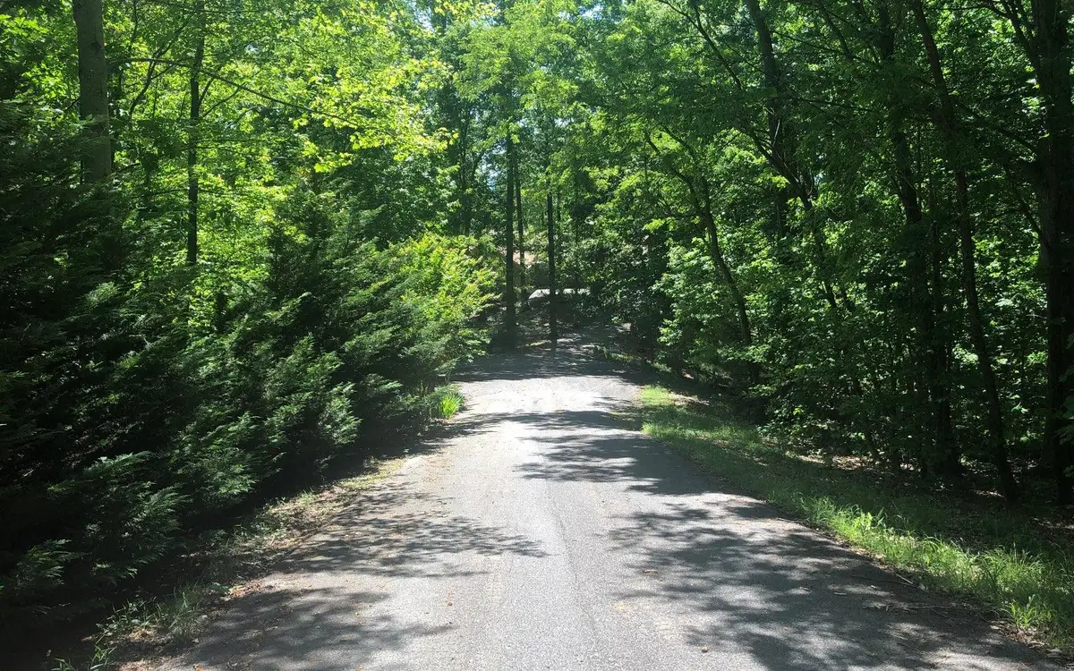 L 48C Byron Street, Blairsville, GA 30512 - #1