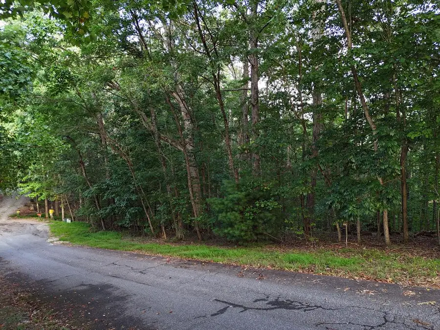 L 48C Byron Street, Blairsville, GA 30512 - #3