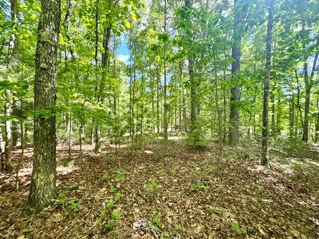 LT 3 Rockridge Road, Notla, NC 26906 - #1