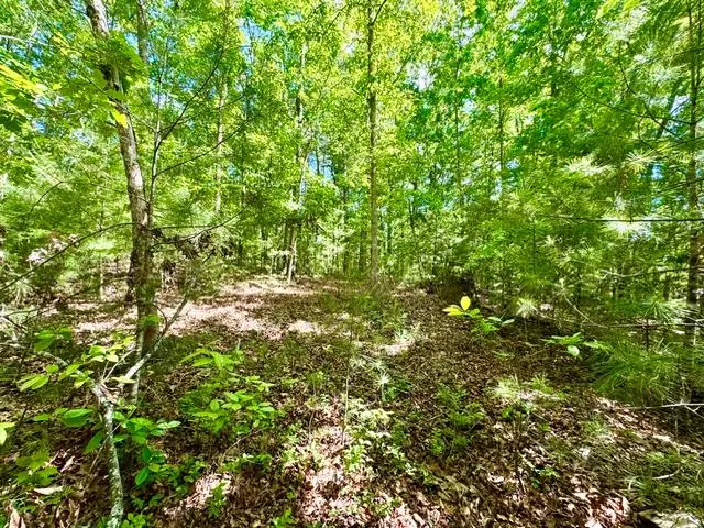 LT 3 Rockridge Road, Notla, NC 26906 - #2