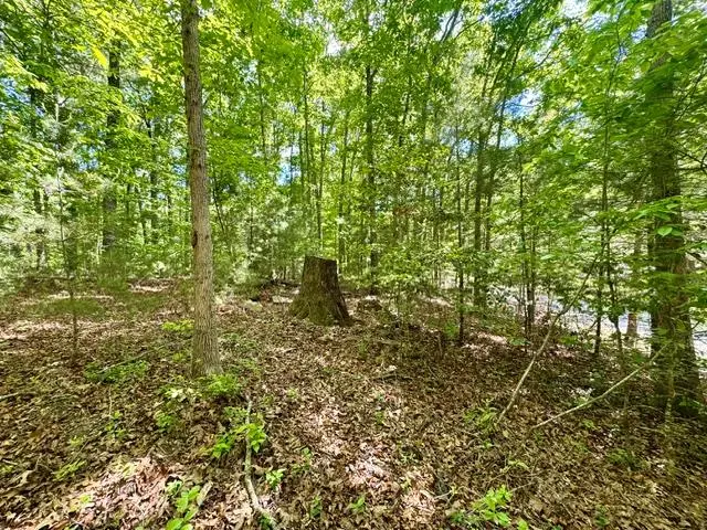 LT 3 Rockridge Road, Notla, NC 26906 - #3