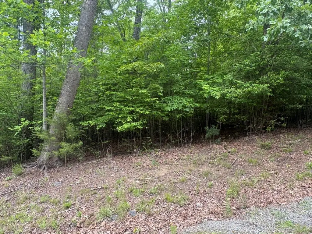 LOT 18 Lost River Trail, Sweetwater, NC 29004 - #1