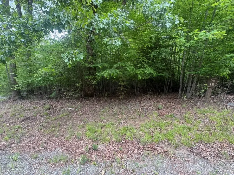LOT 18 Lost River Trail, Sweetwater, NC 29004 - #2