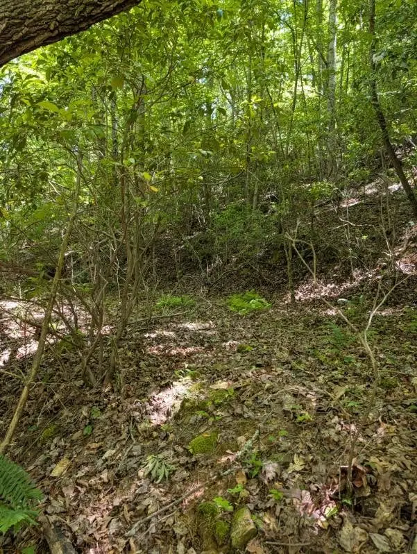00 Talc Mine Road, Murphy, NC 28906 - #2