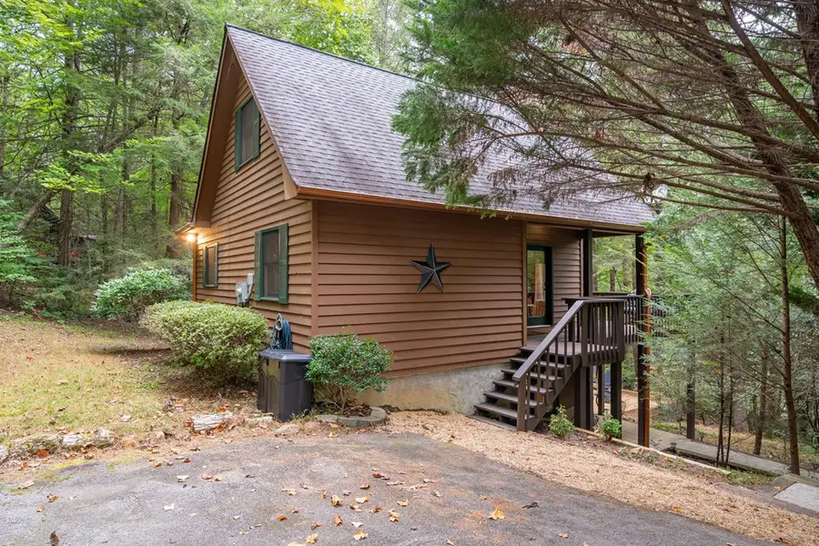 60 Icy Lane, Blue Ridge, GA 30513 - #3