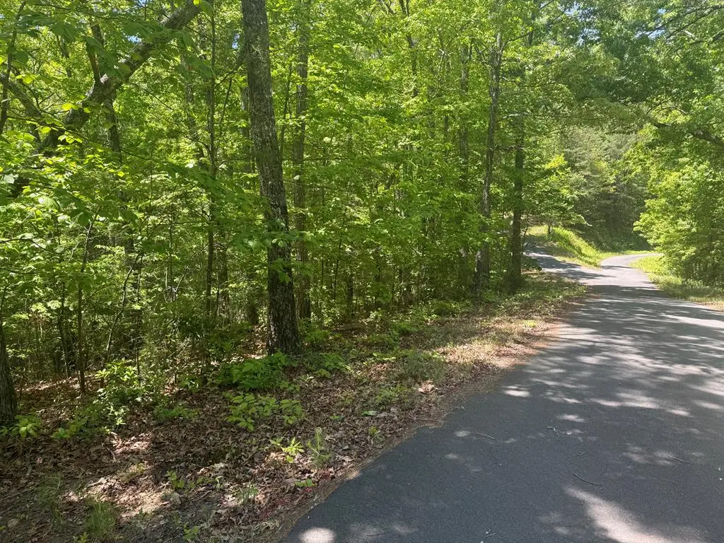 0 Hidden Lane, Murphy, NC 28906 - #1