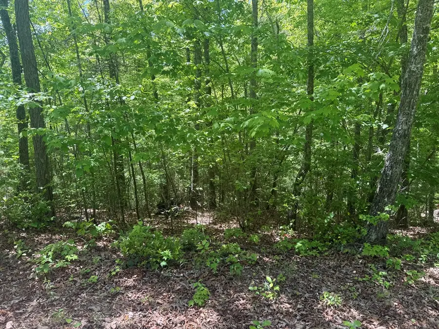 0 Hidden Lane, Murphy, NC 28906 - #3