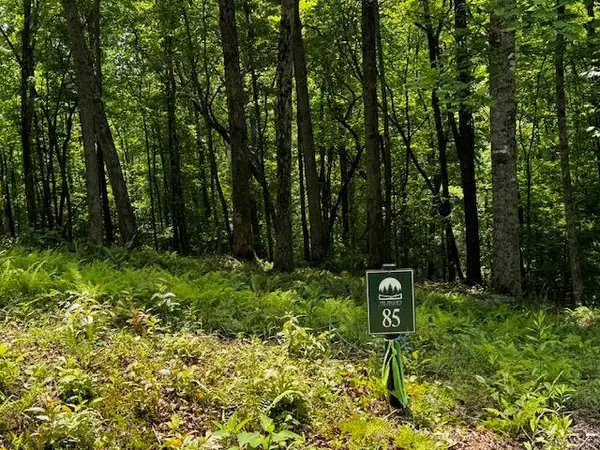 85 Cedar Road, Ellijay, GA 30540