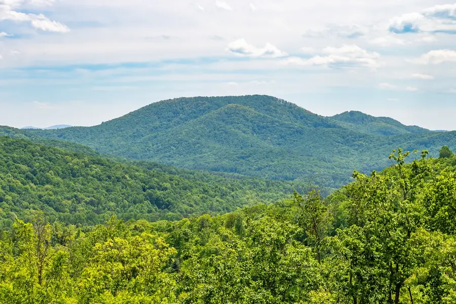93 Stanley Ridge Drive, Morganton, GA 30560 - #3