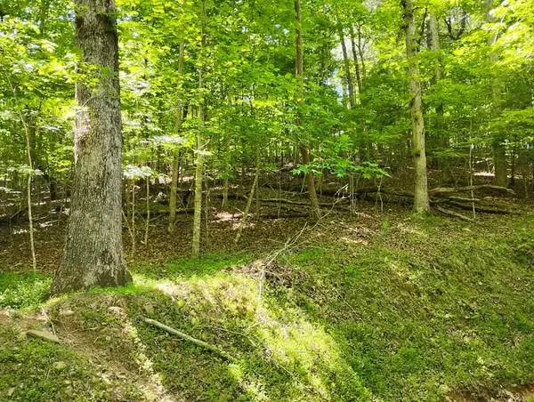 0 Gladstone Court, Ellijay, GA 30540