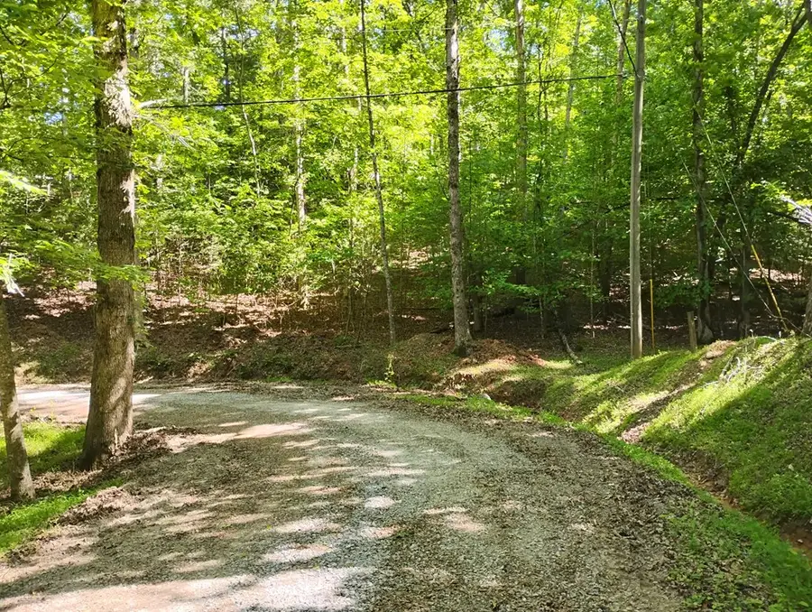 0 Gladstone Court, Ellijay, GA 30540 - #3