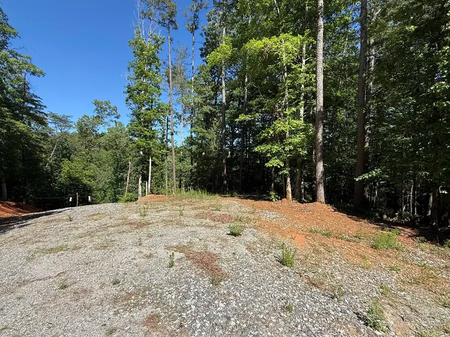 0 Limber Lost Trail, Cleveland, GA 30528 - #3