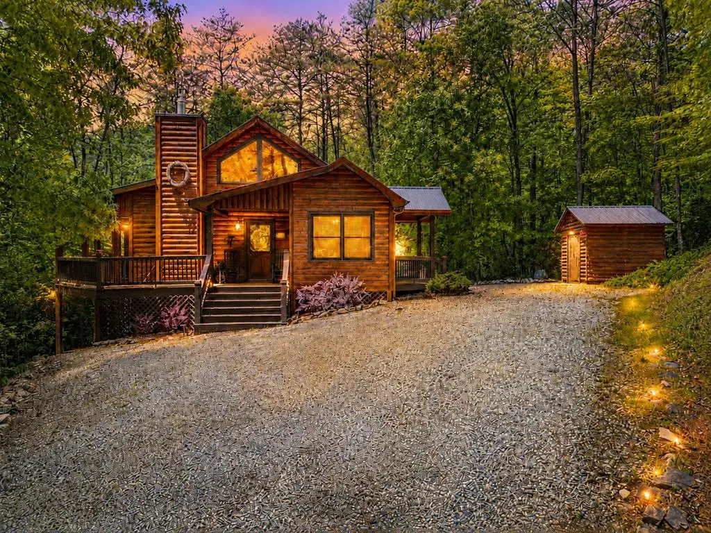 284 The Woods Road, Mineral Bluff, GA 30559 - #1