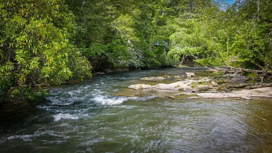 329 Blackberry Falls Lane, Ellijay, GA 30536 - #2