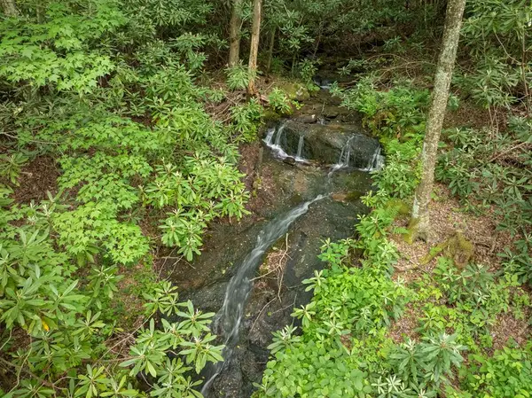 00 Walnut Cove Road, Robbinsville, NC 28771