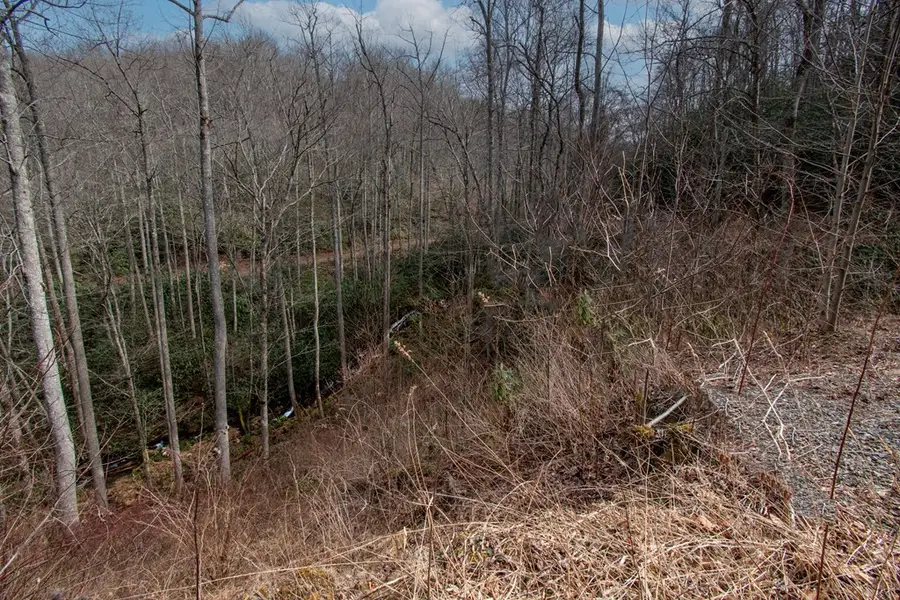 00 Walnut Cove Road, Robbinsville, NC 28771 - #2