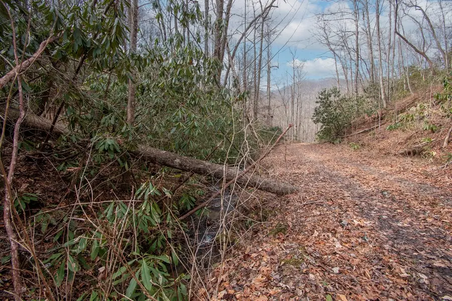 00 Walnut Cove Road, Robbinsville, NC 28771 - #3