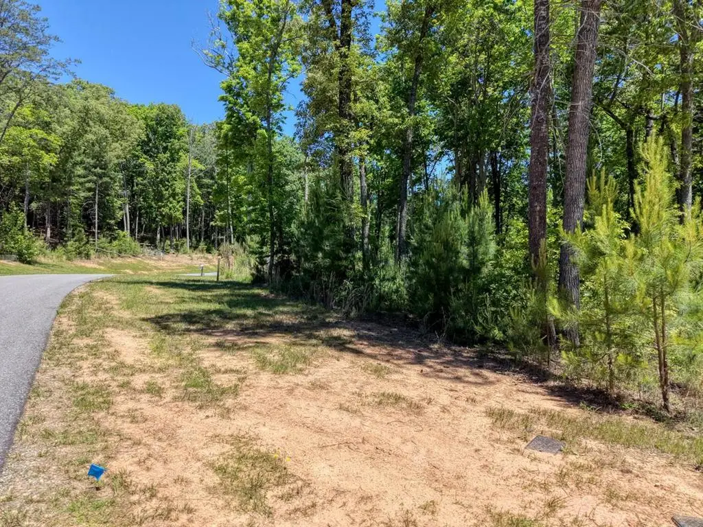 Lot 165 Highland Park, Blairsville, GA 30512 - #1