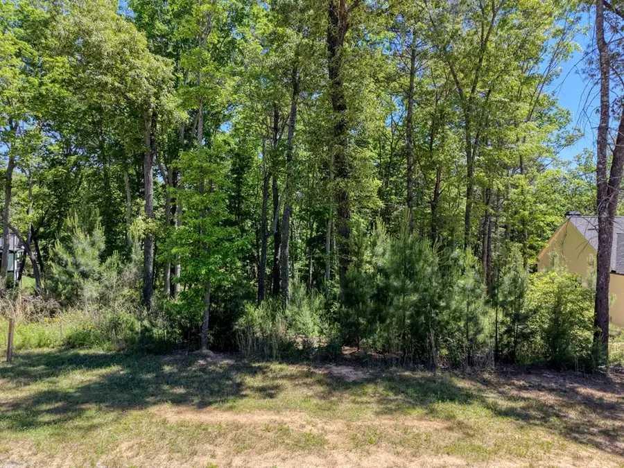 Lot 165 Highland Park, Blairsville, GA 30512 - #2