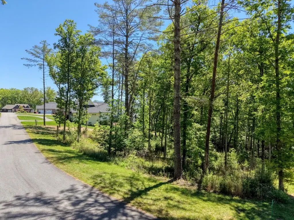 Lot 167 Highland Park, Blairsville, GA 30512 - #1