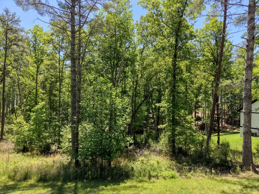 Lot 167 Highland Park, Blairsville, GA 30512 - #2