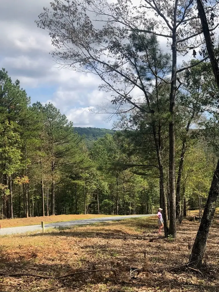 LT 90 Barrell Knot Court, Ellijay, GA 30536 - #3