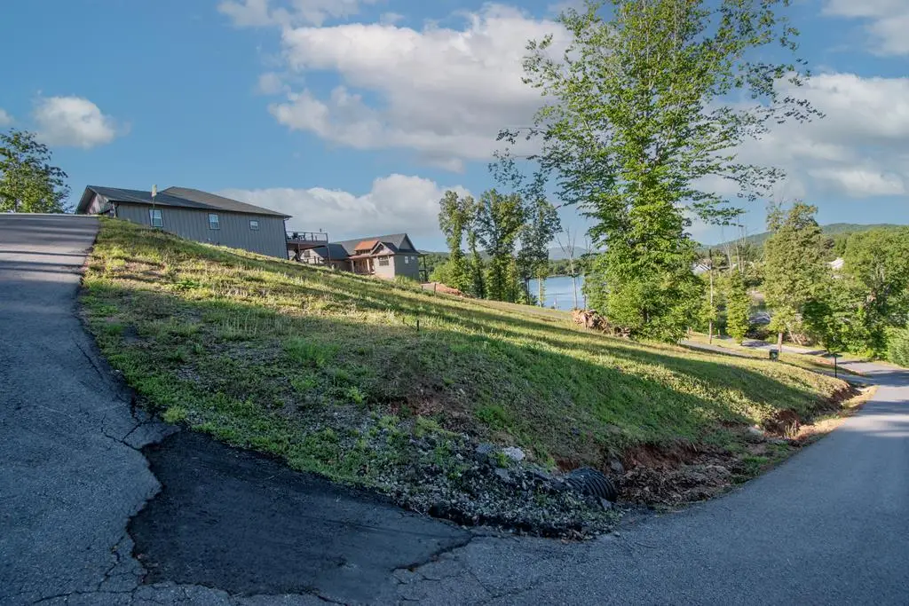 Lt 4 Mountain Breezes Drive, Hayesville, NC 28904 - #1