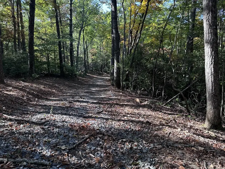 3A Turniptown Road, Ellijay, GA 30536 - #2