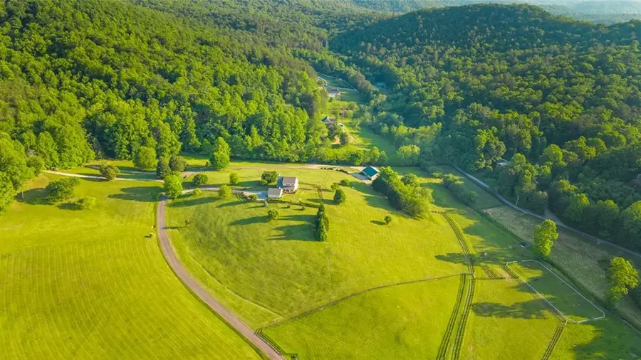 166 Richard Road, Blairsville, GA 30512 - #3