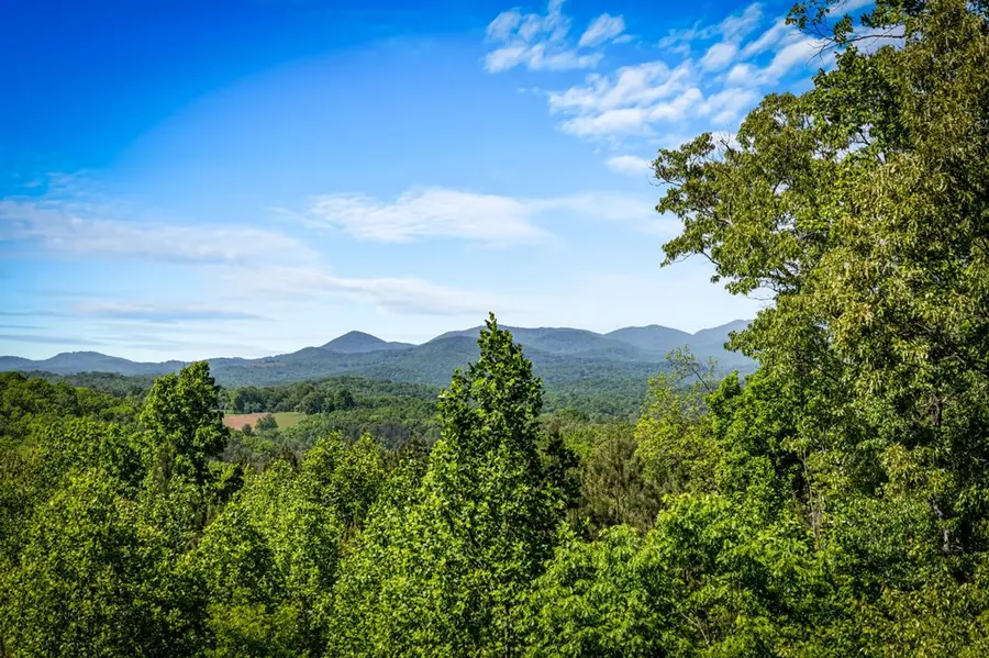 479 Big Timber Road, Mineral Bluff, GA 30559 - #2