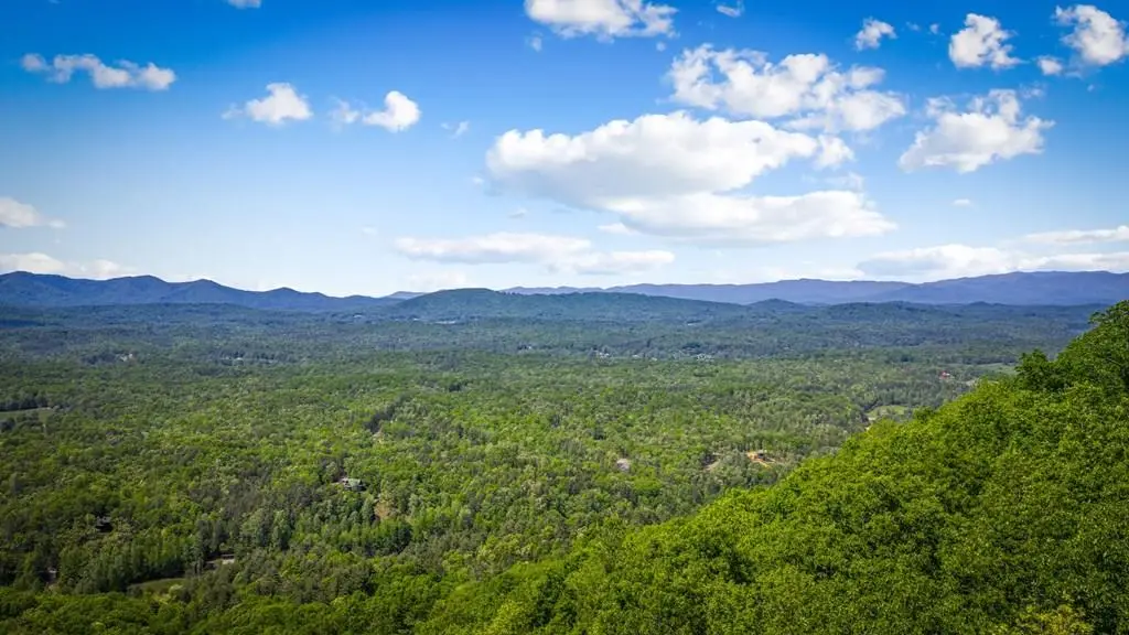Lot 8 Ada Ridge Road, Mineral Bluff, GA 30559 - #1