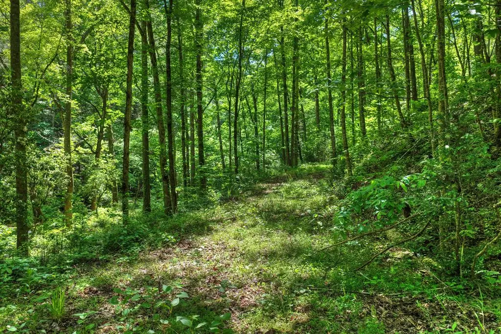 Lot 106 Mountain Creek Hollow Drive, Talking Rock, GA 30175 - #1