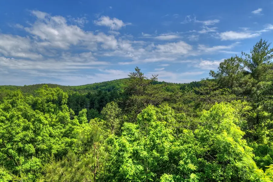 Lot 106 Mountain Creek Hollow Drive, Talking Rock, GA 30175 - #2