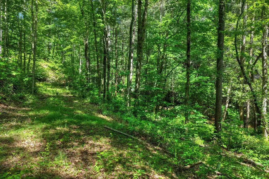 Lot 106 Mountain Creek Hollow Drive, Talking Rock, GA 30175 - #3