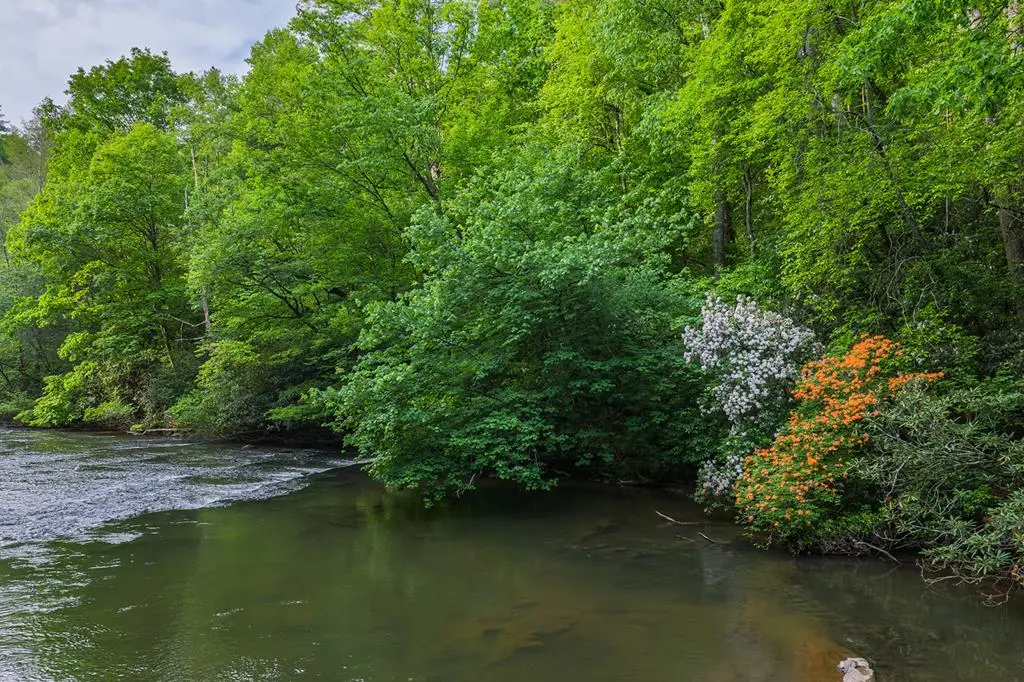 Lot 171 Shenendoa Drive, Ellijay, GA 30540 - #1
