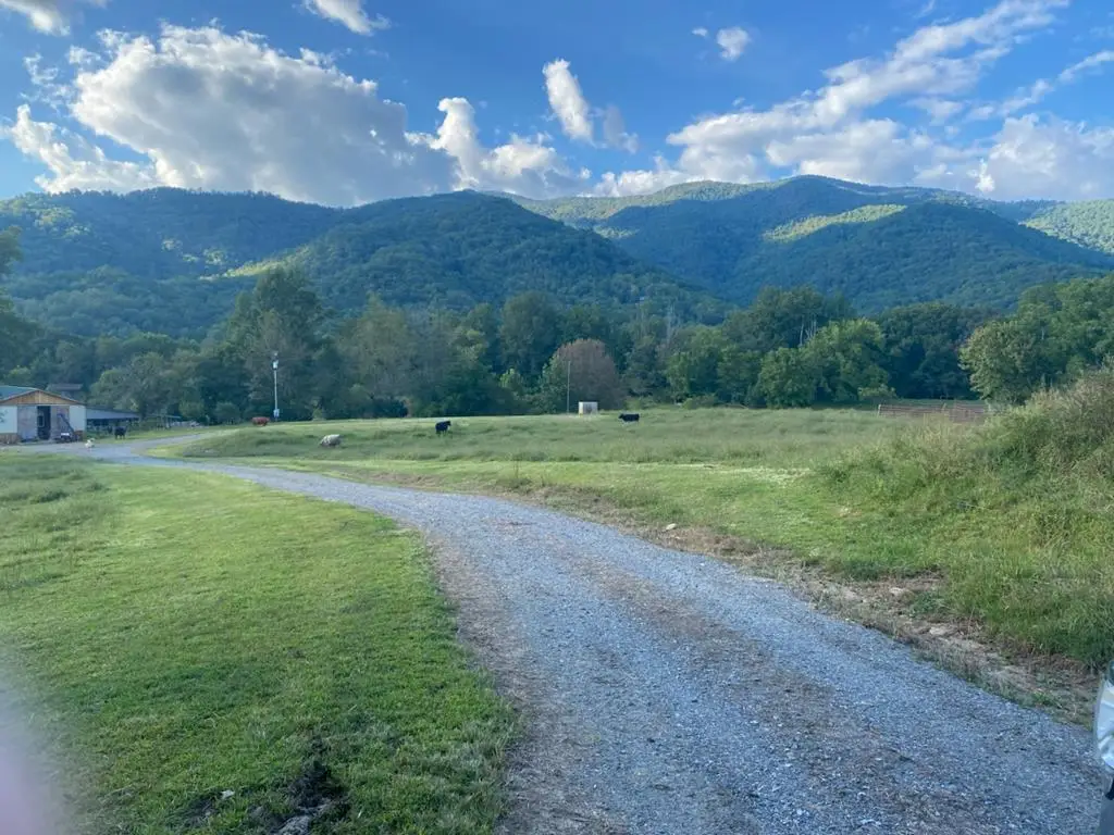 10617 Hwy 64 E, Hayesville, NC 28904 - #1