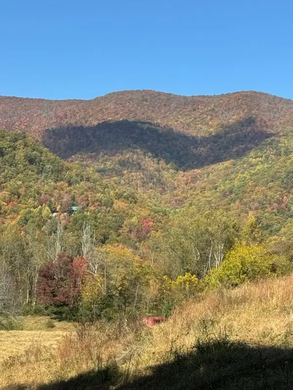 10617 Hwy 64 E, Hayesville, NC 28904 - #2