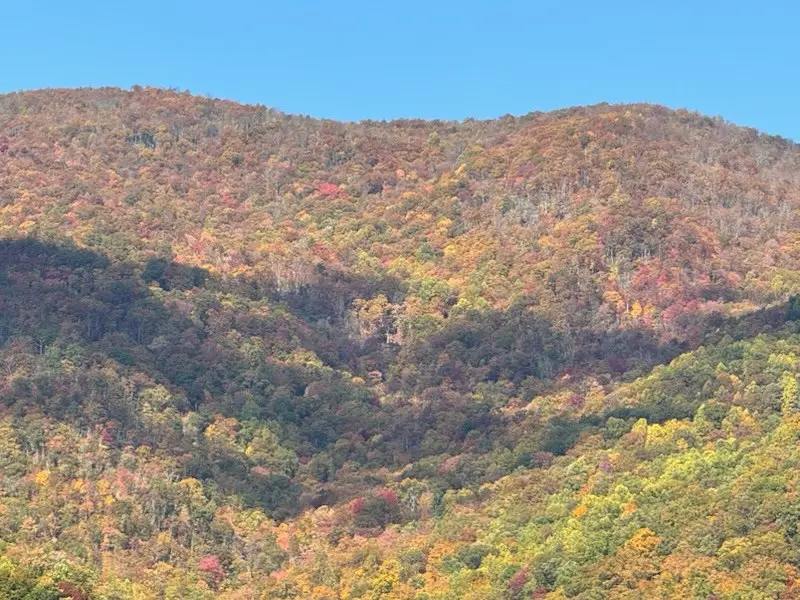 10617 Hwy 64 E, Hayesville, NC 28904 - #3