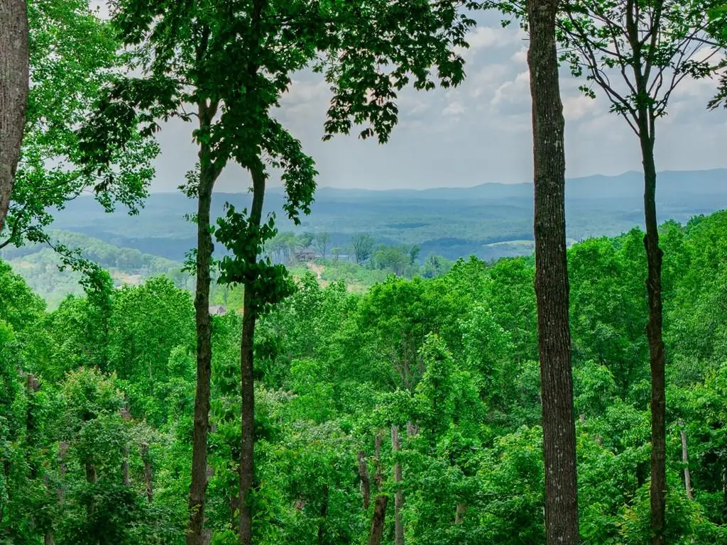 Lot 411 Calloway Mountain Road, Talking Rock, GA 30175 - #1