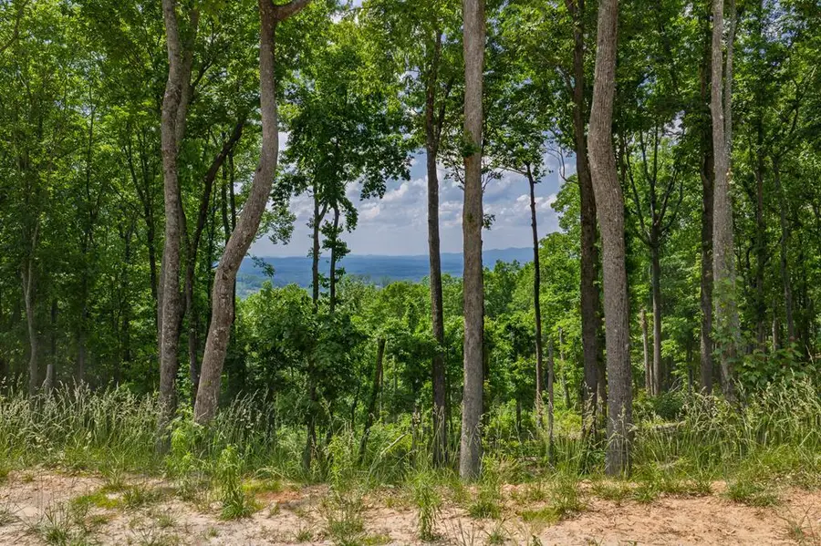 Lot 411 Calloway Mountain Road, Talking Rock, GA 30175 - #2